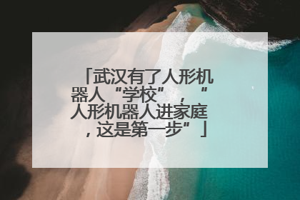 武汉有了人形机器人“学校”，“人形机器人进家庭，这是第一步”