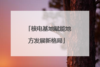 核电基地赋能地方发展新格局