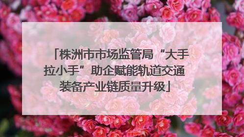 株洲市市场监管局“大手拉小手”助企赋能轨道交通装备产业链质量升级