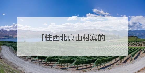 桂西北高山村寨的“云端”致富路