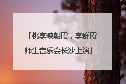 桃李映朝霞，李群霞师生音乐会长沙上演