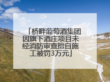 桥畔葡萄酒集团因旗下酒庄项目未经消防审查擅自施工被罚3万元