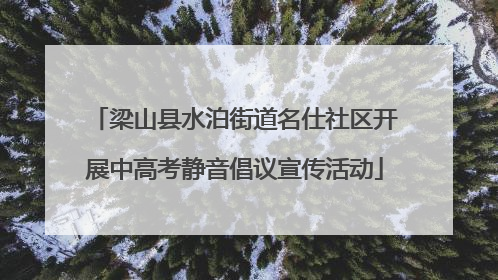 梁山县水泊街道名仕社区开展中高考静音倡议宣传活动