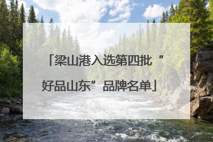 梁山港入选第四批“好品山东”品牌名单