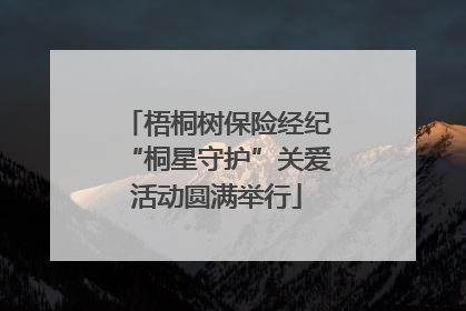 梧桐树保险经纪“桐星守护”关爱活动圆满举行