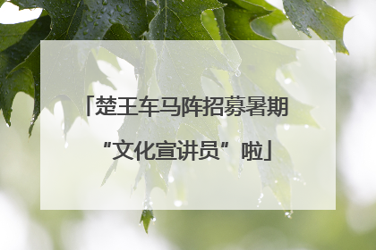 楚王车马阵招募暑期“文化宣讲员”啦