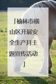 榆林市横山区开展安全生产月主题宣传活动