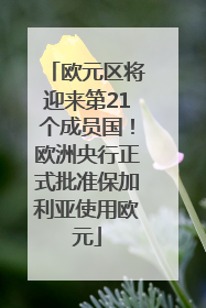 欧元区将迎来第21个成员国！欧洲央行正式批准保加利亚使用欧元