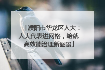 濮阳市华龙区人大：人大代表进网格，绘就高效能治理新图景