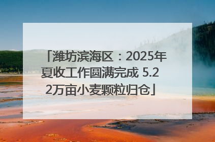 潍坊滨海区：2025年夏收工作圆满完成 5.22万亩小麦颗粒归仓