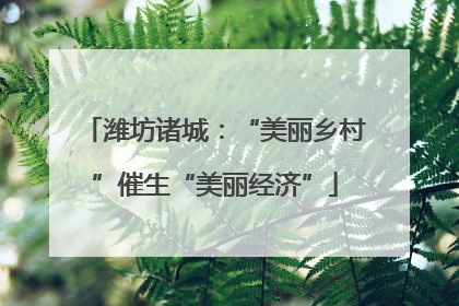 潍坊诸城：“美丽乡村”催生“美丽经济”