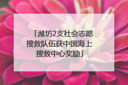 潍坊2支社会志愿搜救队伍获中国海上搜救中心奖励