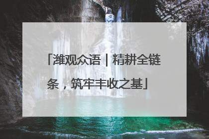 潍观众语｜精耕全链条，筑牢丰收之基
