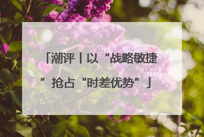 潮评丨以“战略敏捷”抢占“时差优势”