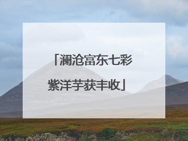 澜沧富东七彩紫洋芋获丰收