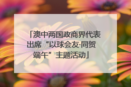 澳中两国政商界代表出席“以球会友·同贺端午”主题活动