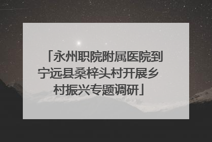 永州职院附属医院到宁远县桑梓头村开展乡村振兴专题调研