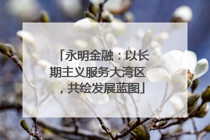 永明金融：以长期主义服务大湾区，共绘发展蓝图