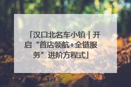 汉口北名车小镇｜开启“首店领航+全链服务”进阶方程式