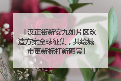 汉正街新安九如片区改造方案全球征集，共绘城市更新标杆新图景