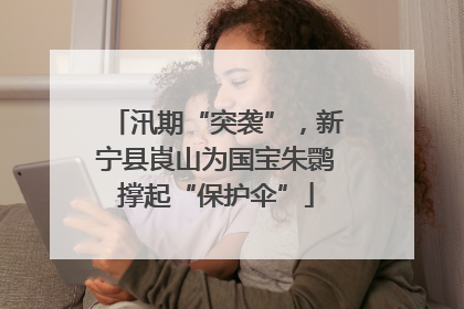 汛期“突袭”，新宁县崀山为国宝朱鹮撑起“保护伞”