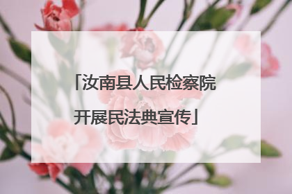 汝南县人民检察院开展民法典宣传