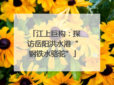 江上巨构：探访岳阳洪水港“钢铁水骆驼”