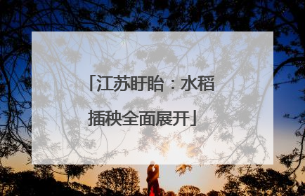 江苏盱眙：水稻插秧全面展开