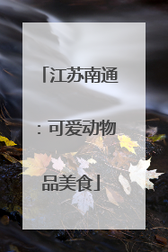 江苏南通：可爱动物品美食