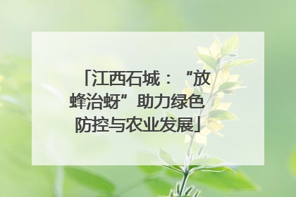 江西石城：“放蜂治蚜”助力绿色防控与农业发展