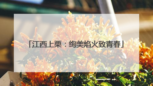 江西上栗：绚美焰火致青春