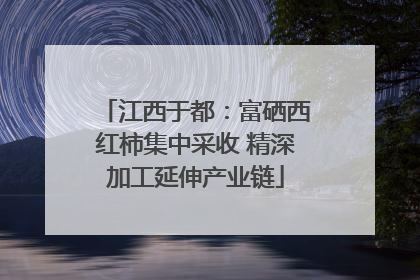 江西于都：富硒西红柿集中采收 精深加工延伸产业链