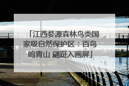 江西婺源森林鸟类国家级自然保护区：百鸟鸣青山 翩跹入画屏