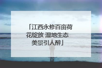 江西永修百亩荷花绽放 湿地生态美景引人醉