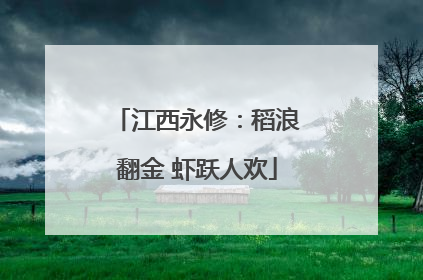 江西永修：稻浪翻金 虾跃人欢