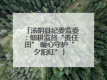 汤阴县纪委监委：细耕监督“责任田” 暖心守护“夕阳红”