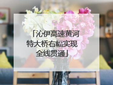 沁伊高速黄河特大桥右幅实现全线贯通