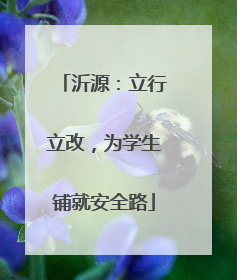 沂源：立行立改，为学生铺就安全路