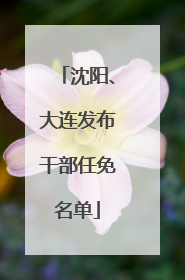 沈阳、大连发布干部任免名单