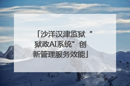 沙洋汉津监狱“狱政AI系统”创新管理服务效能