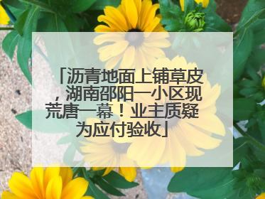 沥青地面上铺草皮，湖南邵阳一小区现荒唐一幕！业主质疑为应付验收