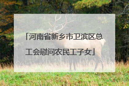 河南省新乡市卫滨区总工会慰问农民工子女