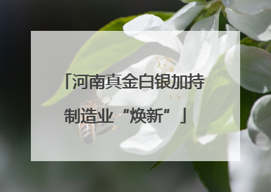 河南真金白银加持制造业“焕新”