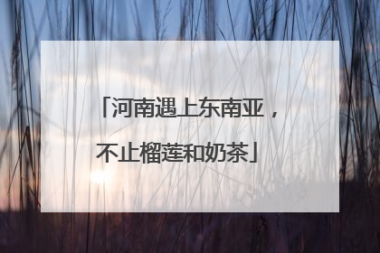 河南遇上东南亚，不止榴莲和奶茶
