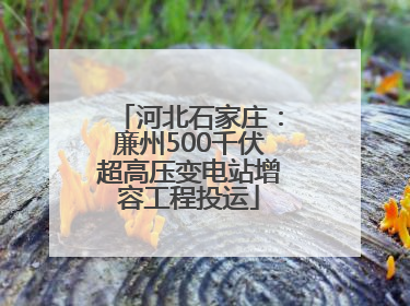 河北石家庄：廉州500千伏超高压变电站增容工程投运