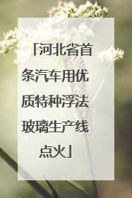 河北省首条汽车用优质特种浮法玻璃生产线点火