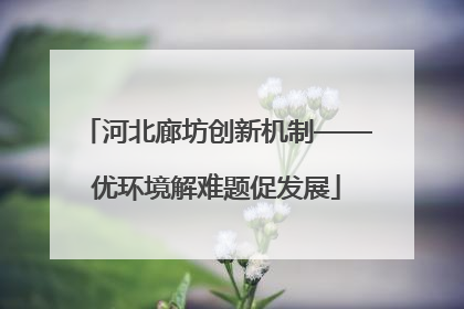 河北廊坊创新机制——优环境解难题促发展