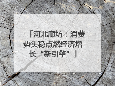 河北廊坊：消费势头稳点燃经济增长“新引擎”