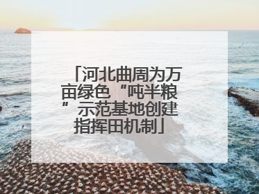 河北曲周为万亩绿色“吨半粮”示范基地创建指挥田机制
