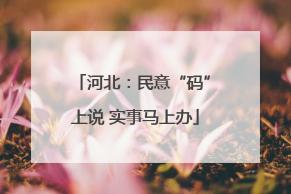 河北：民意“码”上说 实事马上办